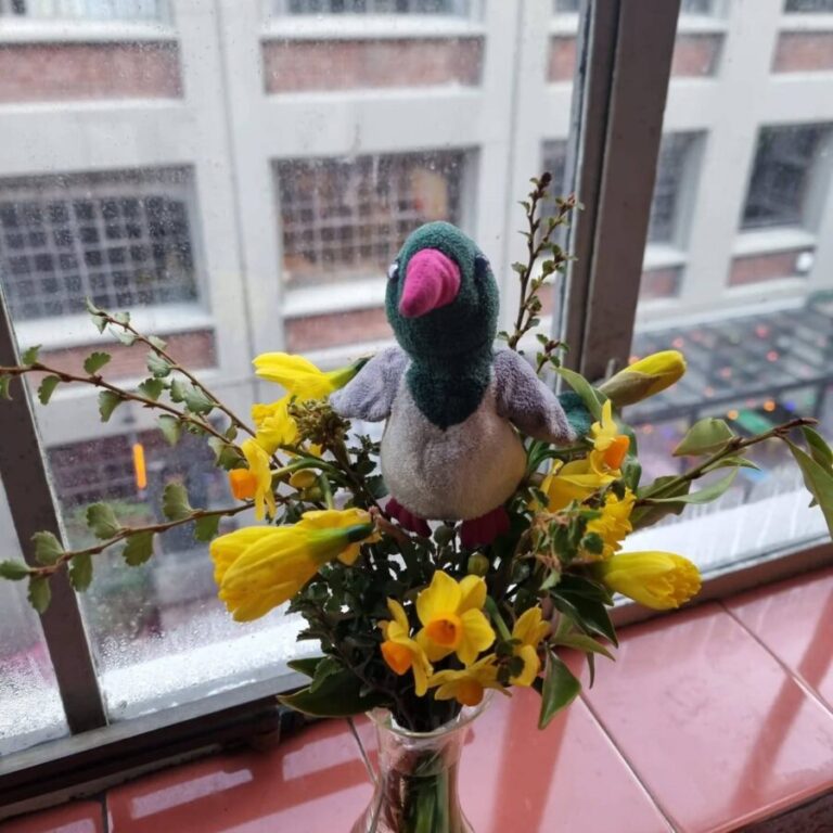 The Kererū Almanac – Spring 2025